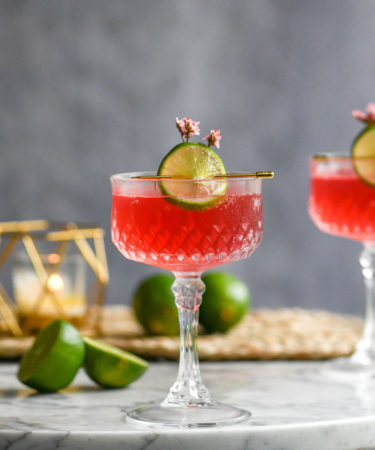 The Fizzy Pink Flamingo Recipe