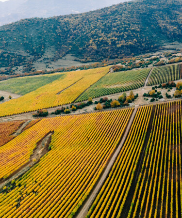 Ancient Practice, Modern Appeal: Meet the PGI Drama (ΠΓΕ Δράμα) Greek Wines From Domaine Costa Lazaridi